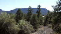 60 Fox Trail Loop, Sedona, AZ Image #9365990