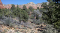 60 Fox Trail Loop, Sedona, AZ Image #9365989