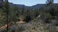 60 Fox Trail Loop, Sedona, AZ Image #9365987