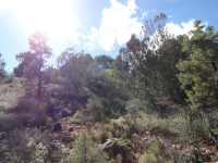 50 Fox Trail Loop, Sedona, AZ Image #9366006