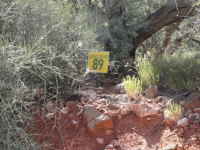 50 Fox Trail Loop, Sedona, AZ Image #9366001