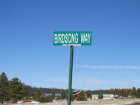 916 Birdsong Way, Lakeside, AZ Image #9367184