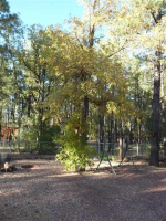3036 Autumn Drive, Lakeside, AZ Image #9367390