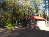 3036 Autumn Drive, Lakeside, AZ Image #9367389