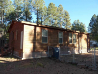 3036 Autumn Drive, Lakeside, AZ Image #9367388