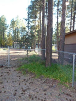 3036 Autumn Drive, Lakeside, AZ Image #9367391