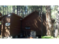 2320 Turkey Trail, Forest Lakes, AZ Image #9367711