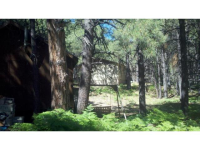 2320 Turkey Trail, Forest Lakes, AZ Image #9367716