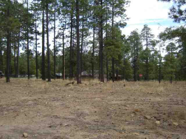 1672 Merzville Rd Lot 27 Forest Lakes, Forest Lakes, AZ Main Image