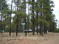 1672 Merzville Rd Lot 27 Forest Lakes, Forest Lakes, AZ Image #9367723