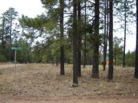1672 Merzville Rd Lot 27 Forest Lakes, Forest Lakes, AZ Image #9367724