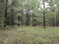 photo for 3095 Old Rim Rd