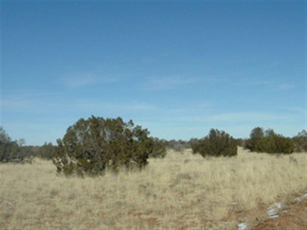 6009 6020, 6030 River Run Dr Chevelon Canyon Ranch, Overgaard, AZ Main Image