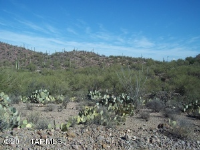 14 4350 W Milton, Tucson, AZ Image #9428593