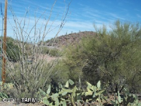 14 4350 W Milton, Tucson, AZ Image #9428597