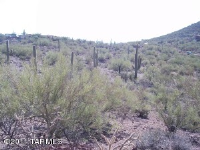14 4350 W Milton, Tucson, AZ Image #9428605