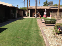 21 1450 E BETHANY HOME Road, Phoenix, AZ Image #9428733