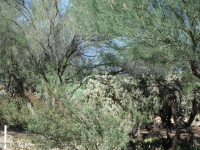 2383 E Desert Pueblo Pass, Green Valley, AZ Image #9429962