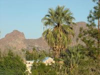2961 E Fairmount Avenue, Phoenix, AZ Image #9430793