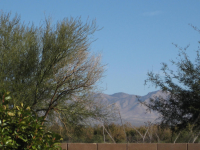 280 W Sunrise Vista, Green Valley, AZ Image #9431030
