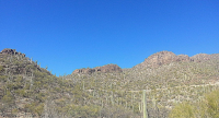 6555 N Thimble Pass N, Tucson, AZ Image #9434741