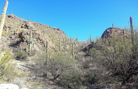 6555 N Thimble Pass N, Tucson, AZ Image #9434744