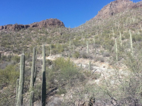 6555 N Thimble Pass N, Tucson, AZ Image #9434746