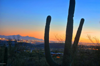 6555 N Thimble Pass N, Tucson, AZ Image #9434749