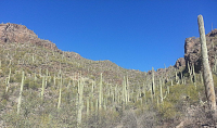 6555 N Thimble Pass N, Tucson, AZ Image #9434745