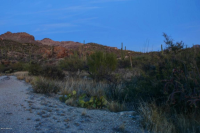 6555 N Thimble Pass N, Tucson, AZ Image #9434738