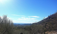 6555 N Thimble Pass N, Tucson, AZ Image #9434747