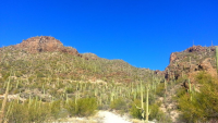6555 N Thimble Pass N, Tucson, AZ Image #9434742