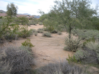 4502 E COYOTE WASH Drive, Cave Creek, AZ Image #9436396