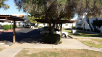 4730 W NORTHERN Avenue #2125, Glendale, AZ Image #9510783