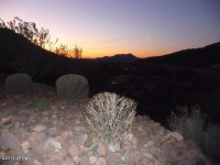 9815 N Talon Trail, Fountain Hills, AZ Image #9681478