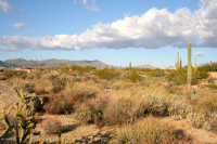 8516 E Cactus Wren Circle, Scottsdale, AZ Image #9682512
