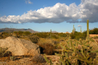 8516 E Cactus Wren Circle, Scottsdale, AZ Image #9682516