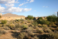 8516 E Cactus Wren Circle, Scottsdale, AZ Image #9682513