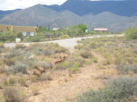 2700 Peaktop View Dr, Cottonwood, AZ Image #9694971