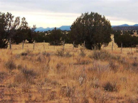 91 Antelope, Ash Fork, AZ Image #9695893