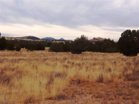91 Antelope, Ash Fork, AZ Image #9695895