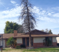 photo for 20 South Cholla Street