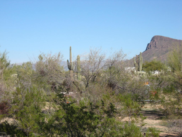 10760 W Rudasill, Tucson, AZ Main Image