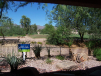 22648 W Antelope Trail, Buckeye, AZ Image #9788159