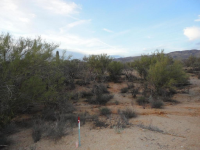 15795 E Colt Creek #103D, Vail, AZ Image #9857882