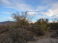 15795 E Colt Creek #103D, Vail, AZ Image #9857889