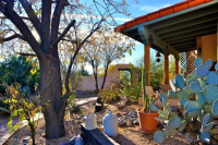 11850 E Calle Javelina, Tucson, AZ Image #9859930