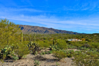11850 E Calle Javelina, Tucson, AZ Image #9859927