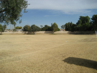 4906 W JOYCE Circle, Glendale, AZ Image #9860052