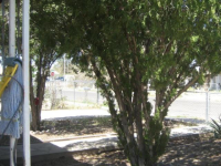 839 Nevada  Street, Tucson, AZ Image #9907960